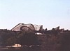 gwazi.JPG