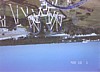 montu-batwing.JPG