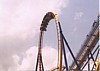 mantis-loop.JPG