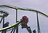 nraptor09.JPG