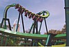 nraptor10.JPG