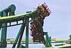 nraptor14.JPG