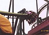 raptor-cork.jpg