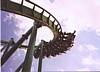 raptor-turn.jpg