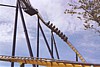 bkf06.JPG